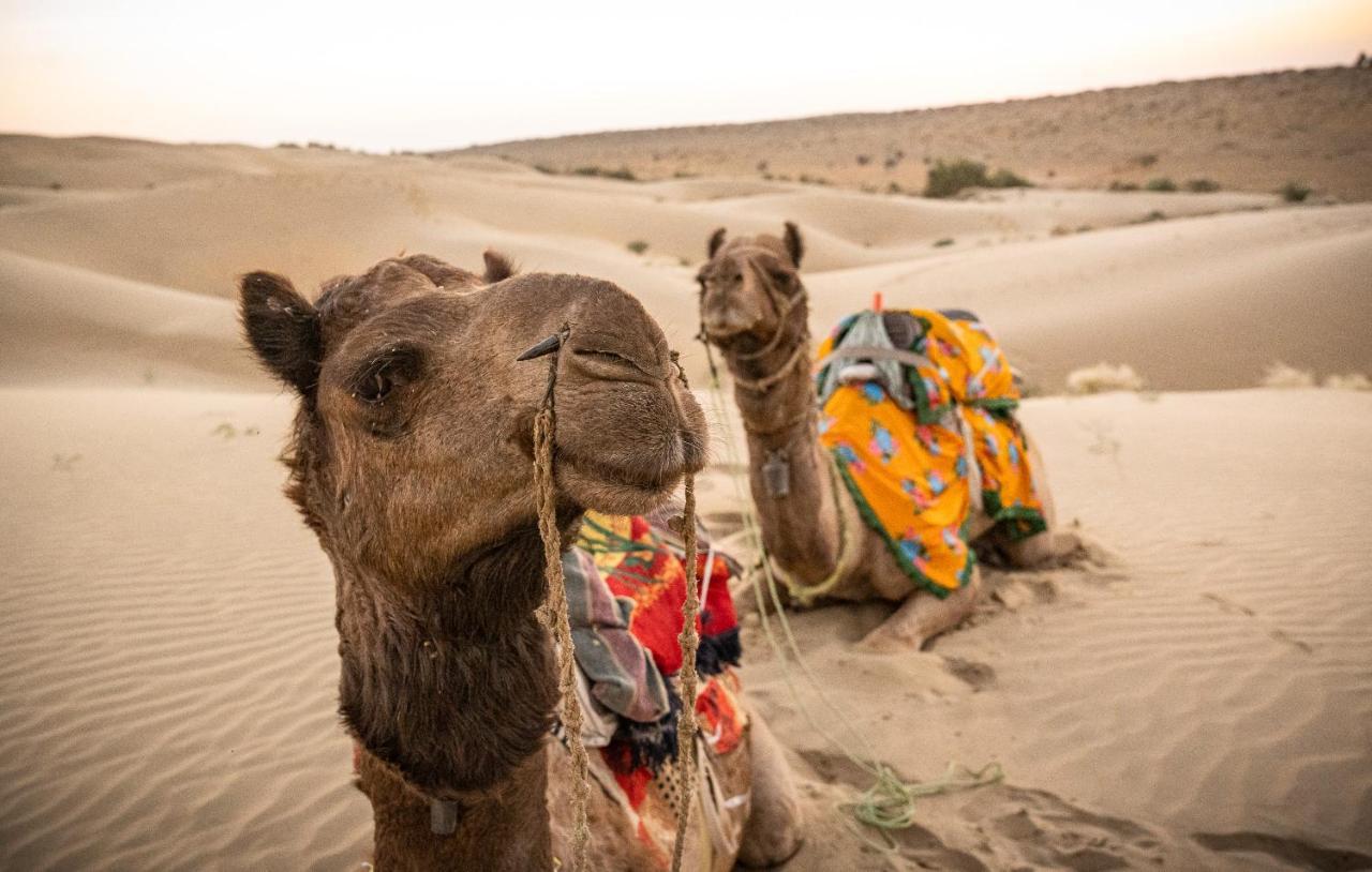 Hotel Jasmin Home Jaisalmer Eksteriør billede